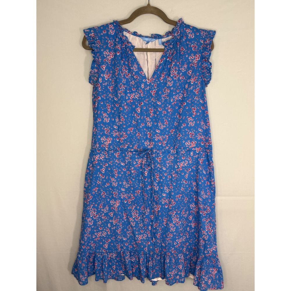 Draper James Floral Ruffle Mini‎ Dress Large Blue Pink Cotton Flutter Sleeve
